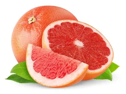 Grapefruit “Thompsons Pink” 250 mm pot image