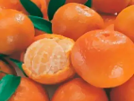 Citrus Mandarine Imperial image