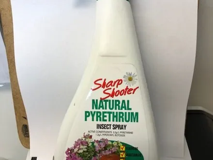 Natural Pyrethrum Spray 250 Ml image