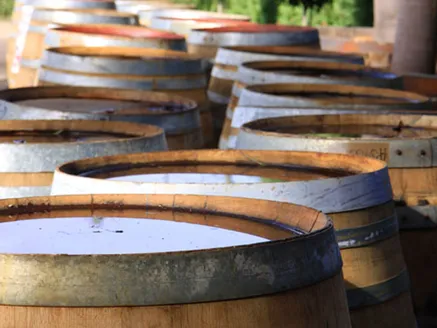Wine Barrels image
