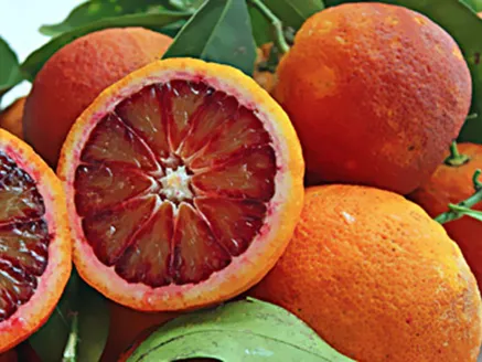 Citrus. Blood Orange image